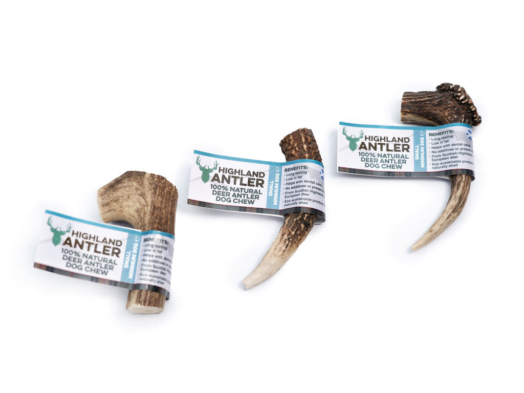 HIGHLAND ANTLER CHEW FOR DOGS NATURAL TREAT