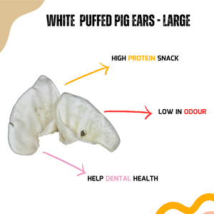 Puffed Pig Ears - Large