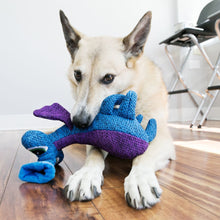 Load image into Gallery viewer, KONG Woozle Blue Dog Toy
