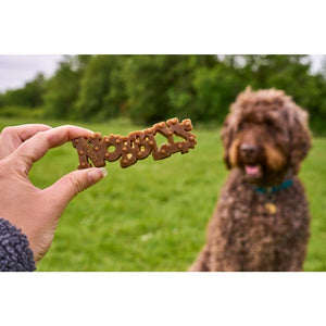 NOBBLYS NATURAL DENTAL CHEW WITH PEANUT BUTTER