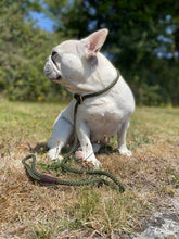 Load image into Gallery viewer, Dog Rope Slip Lead Olive
