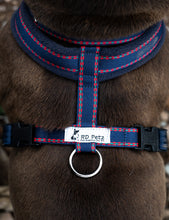Load image into Gallery viewer, Dog Fleece Harness Gypsy Blue
