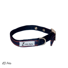Load image into Gallery viewer, Dog Buckle Collar Gypsy Blue
