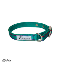 Load image into Gallery viewer, Dog Buckle Collar Gypsy Green
