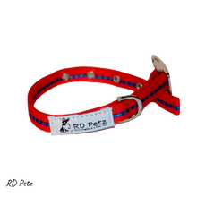 Load image into Gallery viewer, Dog Buckle Collar Gypsy Red
